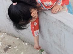 -菊园百果园
