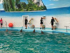 -尼莫海豚馆