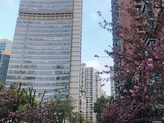 -上海广播电视台&上海东方传媒集团有限公司快递接收处