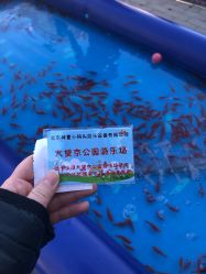 -大望京儿童游乐场