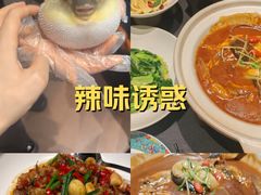 -肆月河豚·淮扬菜·湘菜(华天店)