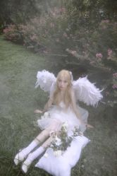 -WAVE SODA摄影工作室