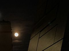 -南山文体中心-游泳馆