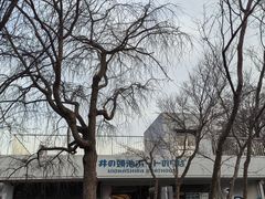 -井之头恩赐公园