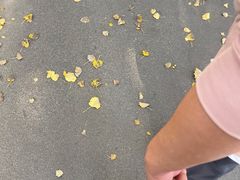 -长春公园(普阳街道)