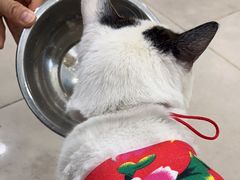 -佳雯宠物医院·皮肤科·内外科(春晓路分院)