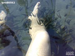 -三亚珠江南田温泉度假区