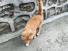 -北京上方山国家森林公园