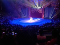 -珠海横琴长隆《卡卡虎奇遇记》