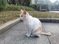 -广州珠江公园
