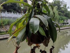 -南京夫子庙石唯玉雨花石酒店