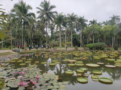 -中国科学院西双版纳热带植物园