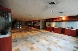 -中央音乐学院歌剧音乐厅