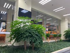 -德宏芒市国际机场