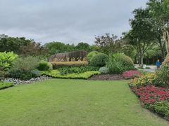 -新江湾城公园