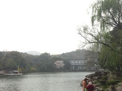 -白马涧龙池景区