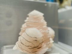 -湖南省地质博物馆