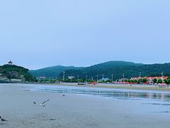 -大鹿岛