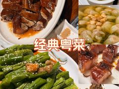 -丰收碗·陈皮果木烧鹅·23年老字号