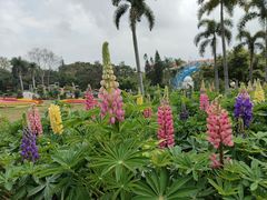 -沙河粉村·国家非遗传承(云台店)