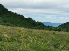 -白草畔自然风景区