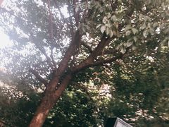 -虹御轩·传承江浙菜(虹桥店)
