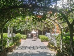 -瑞丽独树成林风景区