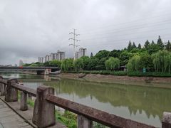 -运河游船(武林门码头)