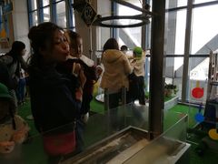 -大阪儿童乐园
