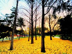 -元大都城垣遗址公园