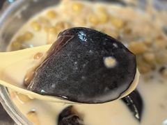 -五福堂龟苓膏(河东北山店)