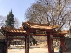 -桃花堤公园
