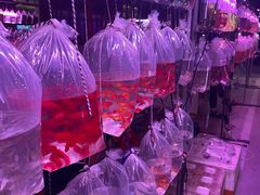 -华声天桥民俗文化园