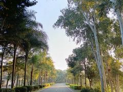 -福建鲤鱼洲酒店