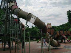 -枫香湖儿童公园