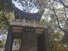 -青龙山国家森林公园