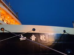 -武汉知音号