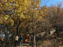 -帽儿山国家森林公园