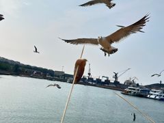 -海驴岛(荣成市)