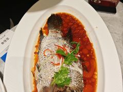 -春满园生态餐厅(南宫路店)