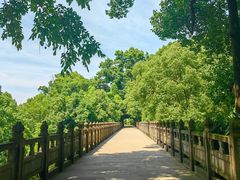 -南山植物园