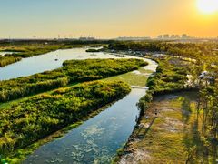 -春花秋色城市公园