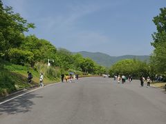 -习家池