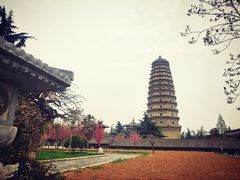-法门文化景区