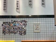 -半岛宠物医院24小时(科华中路店)