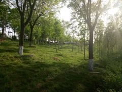 -西安汉城湖景区