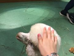 -藦茜花园宠物主题亲子互动体验馆(国顺东路店)