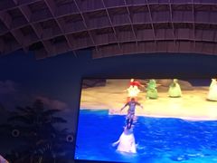 -海合安武汉极地海洋公园