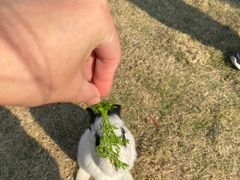 -菊园百果园