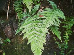 -会稽山峡洞漂流-上青古道